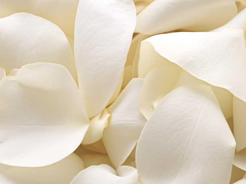 The RitzCarlton, Rancho Mirage